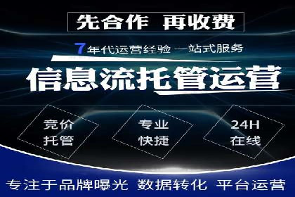 谷歌竞价广告与SEO结合的营销案例解析